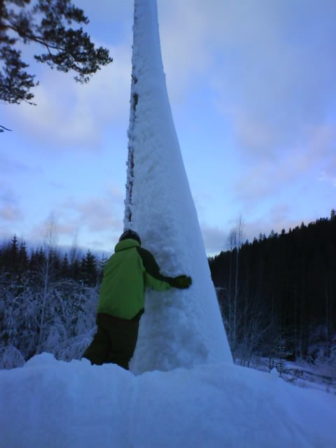 I'm the treehugger fofan . Foto: malin friberg. Åkare: jonathan jansson.