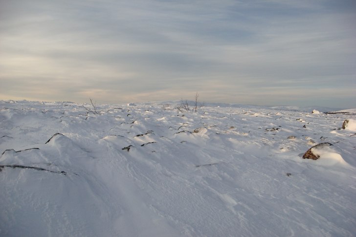 Foto: Stefan Johansson.