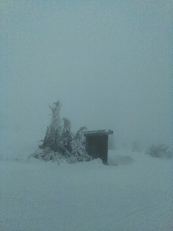 Siste dag i påskeferien 
Tåke og snøvær men fi.