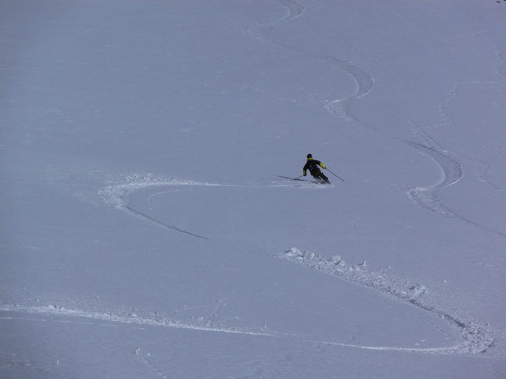 Foto: short dutch. Åkare: arvid larsson.