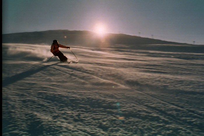 Foto: Madelne Jonsson. Åkare: Nicole Kiessling.