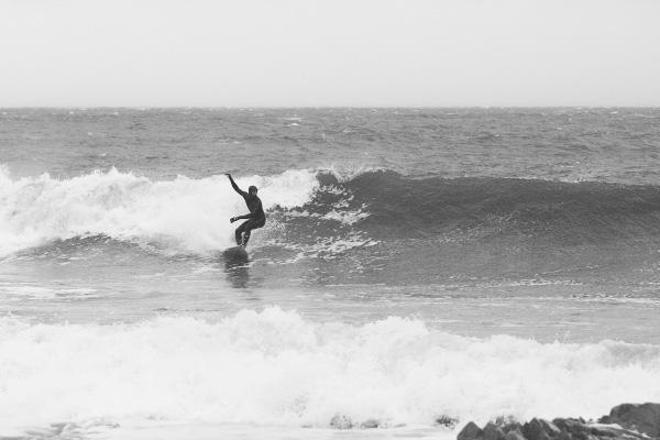 Foto: Jesper Edvinsson. Åkare: snaken.