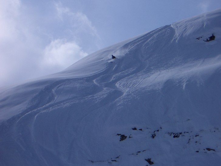 Foto: Petter Andersson. Åkare: Robert Hortlund.