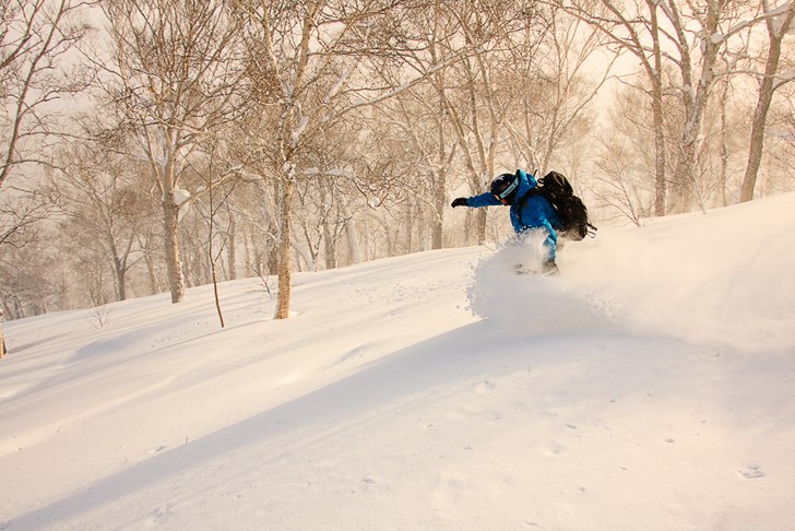 Foto: Johan Karlsson. Åkare: Tomas Halvarsson.