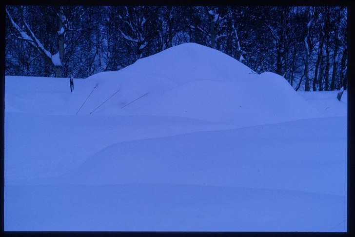 Hem ljuva hem! Det va inte direkt svårt att motiv. Foto: Björn Michaelsen. Åkare: Sovande Jonas, Torkjell, Magnus o Krister.