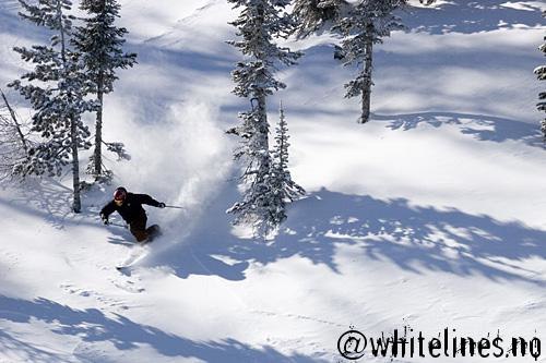 Foto: Birger Øren Holo. Åkare: Henning Opstad.