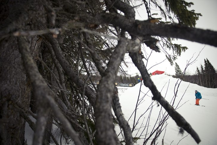 Foto: Daniel Rönnbäck.