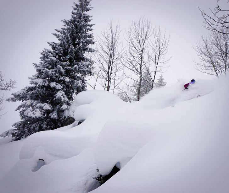 @Beppo_91 hittar också puder i skogen.
www.mathi.