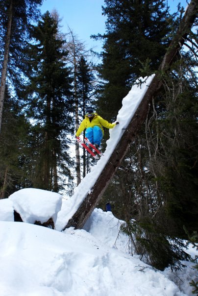 Ett kul träd!. Foto: Arvid Larsson. Åkare: Oscar Lagnéus.