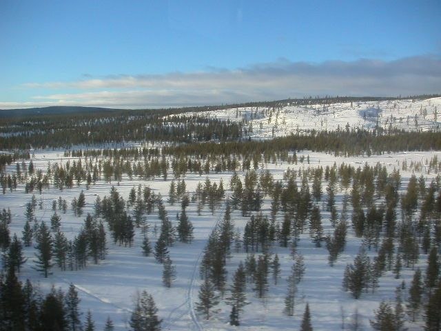 Foto: Magnus Axberg.