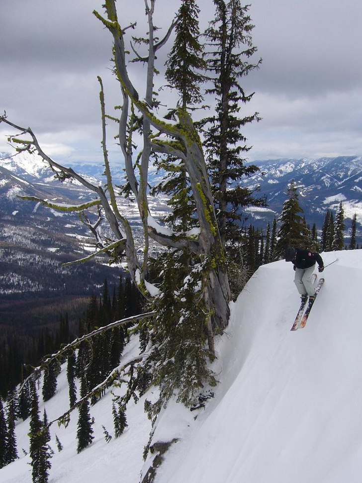 Foto: John Hallgren. Åkare: Nils Hallgren.
