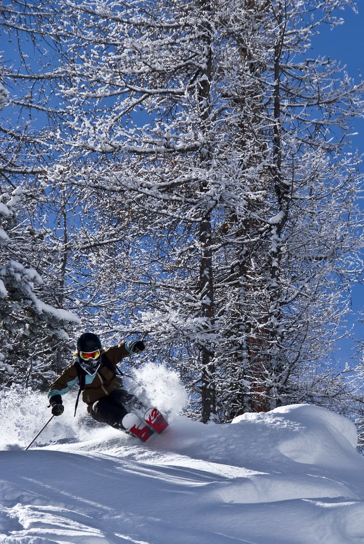 Frida satsar fullt ut. Foto: Robin Ljungqwist. Åkare: Frida Alderin Harling.