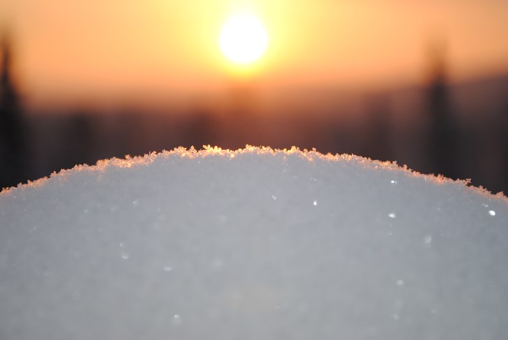 Foto: Linn Östlund.