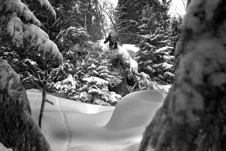 Skogsdropp. Foto: Christoffer Göthe. Åkare: Patric Karlsson.