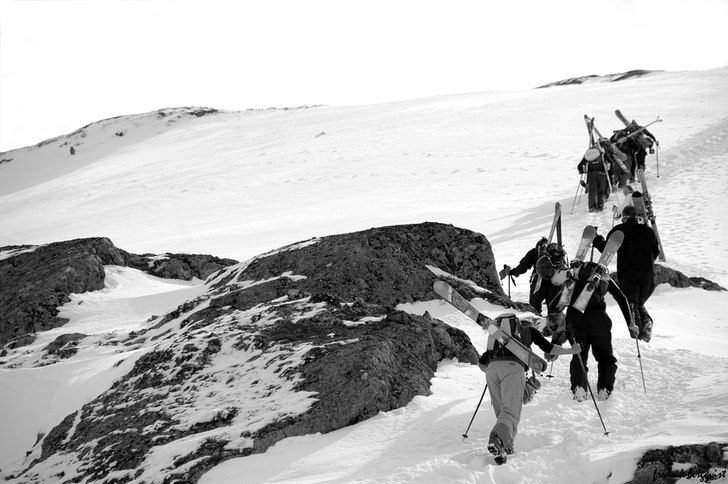 Foto: Fredrik Bergqvist.