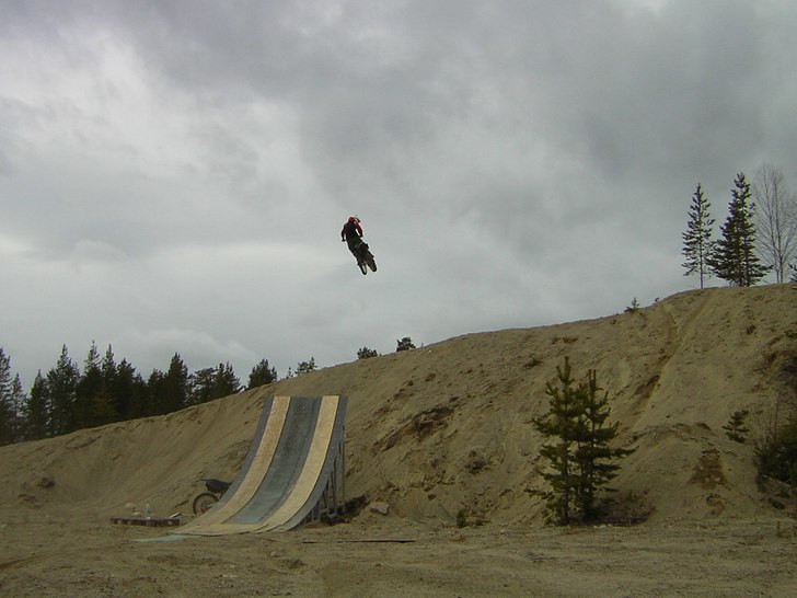 whip. Foto: leif alvarsson. Åkare: Tomas söderberg.