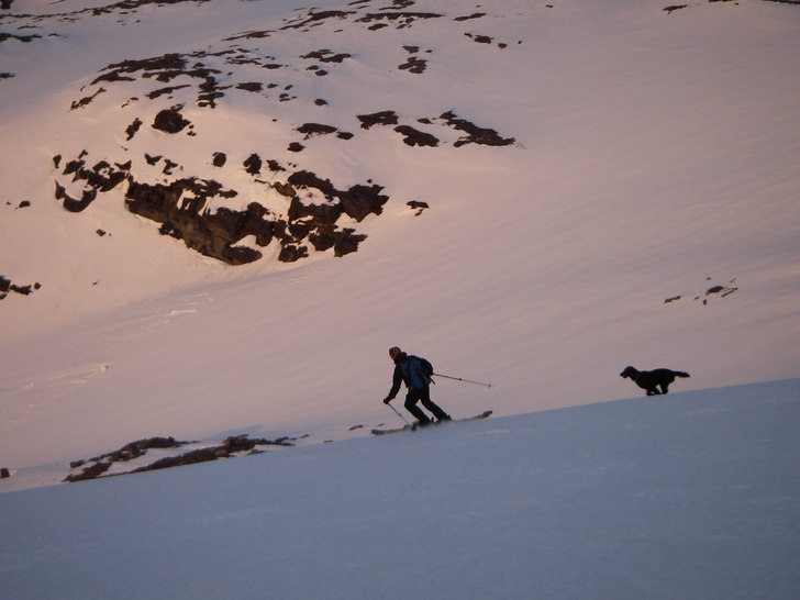 Topptur i midnattsol, Isig skare till "sluch&. Foto: Mats Mäki. Åkare: Jonny Öhrn och Filur.