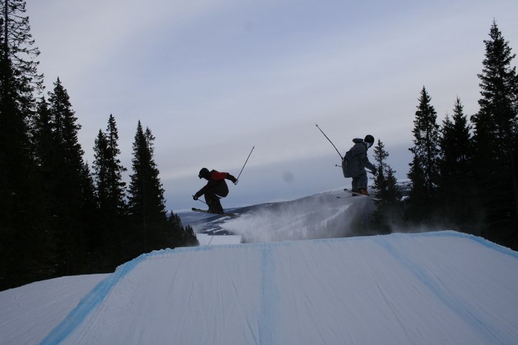 Foto: don lito. Åkare: jag och seal.