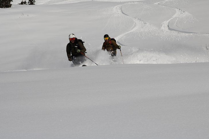 Sällskapsresansvängar.