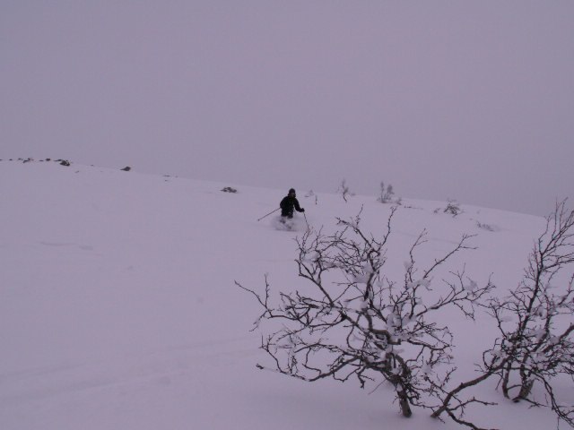 Foto: marcus wadsten. Åkare: henrik ringels.