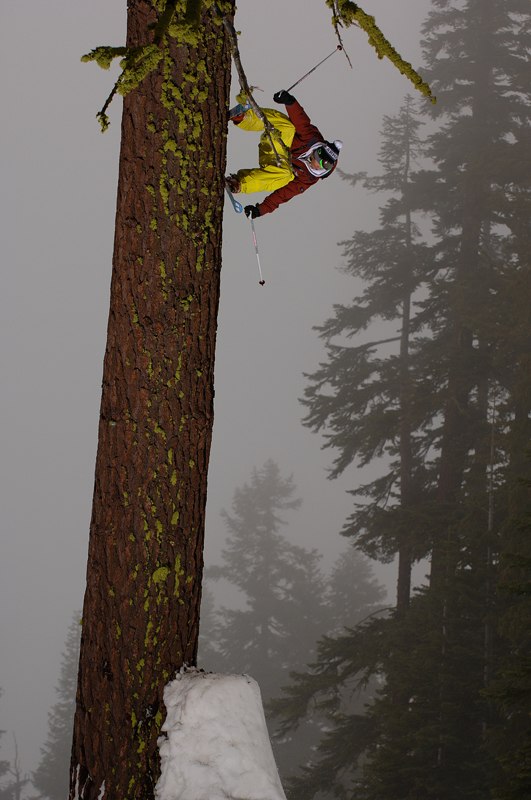 Jacob Wester hoppar upp på ett stort träd i 
Si. Foto: Mattias Fredriksson. Åkare: Jacob Wester.