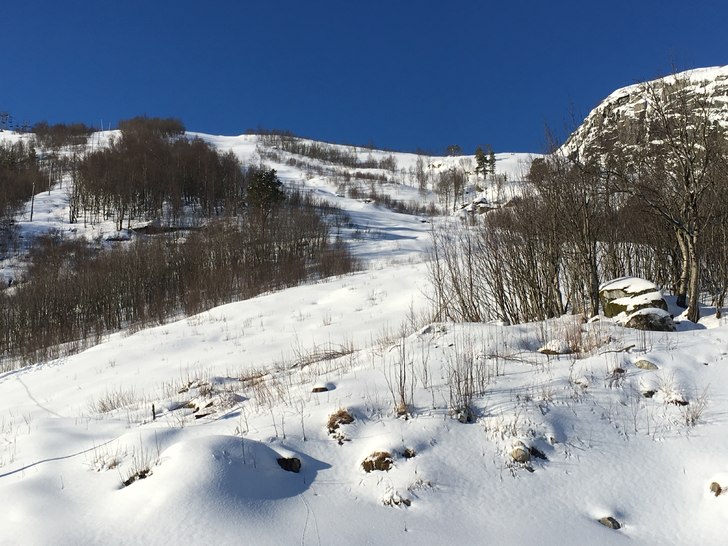 PUDDER
Stolheislia bader seg i sol. Stolheis åpen.