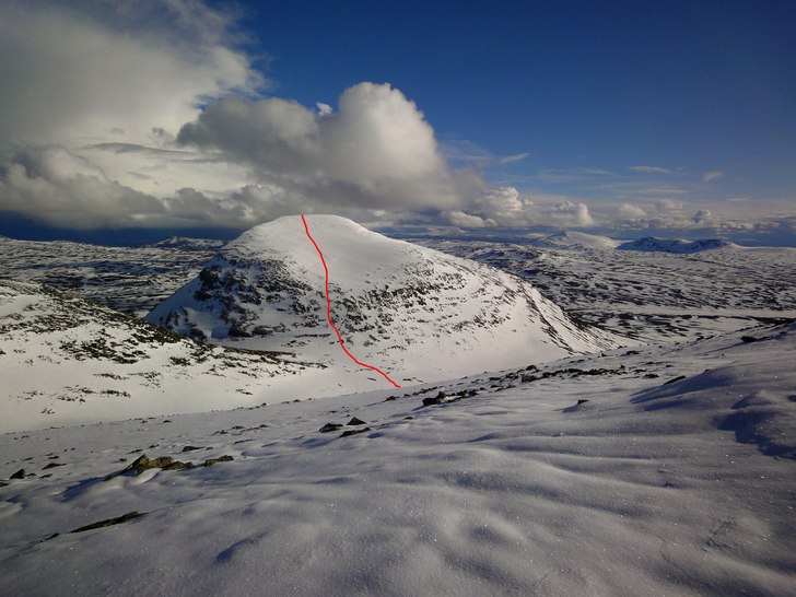 Övre delen av åket. Foto: Mattias Skantz.