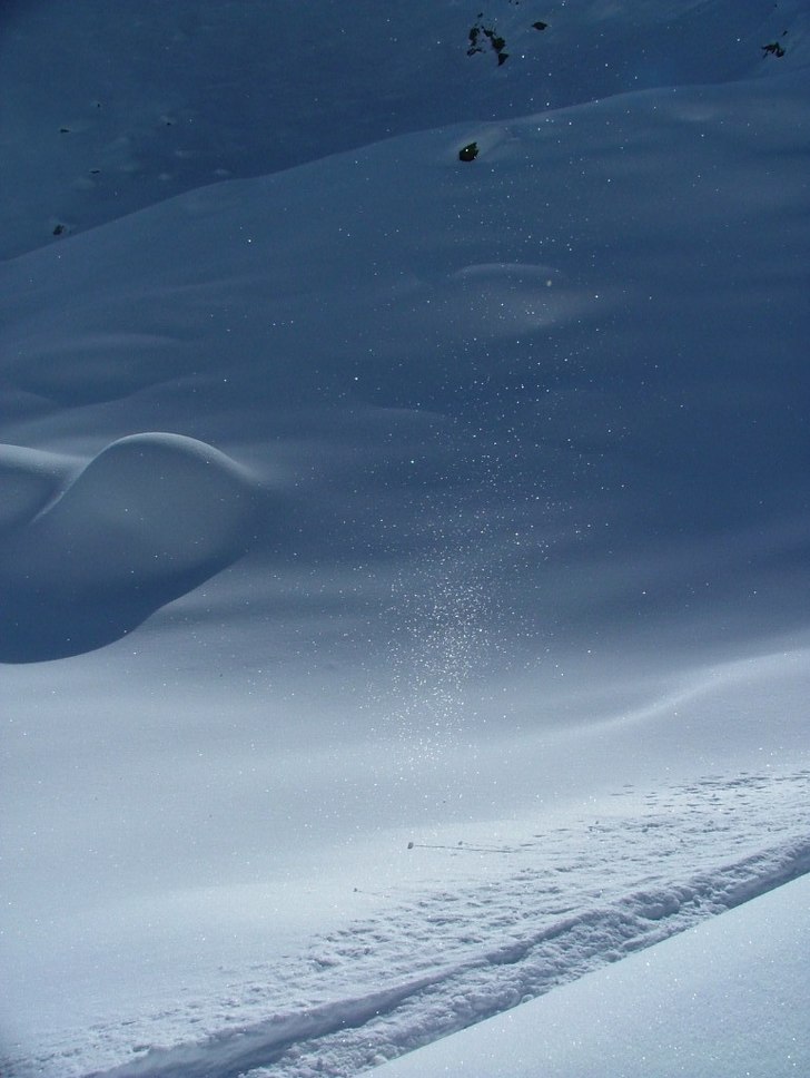 magic powder. Foto: alby.