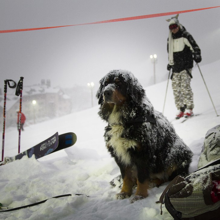 Railjam, Åre Skidtestarhelg 2013..