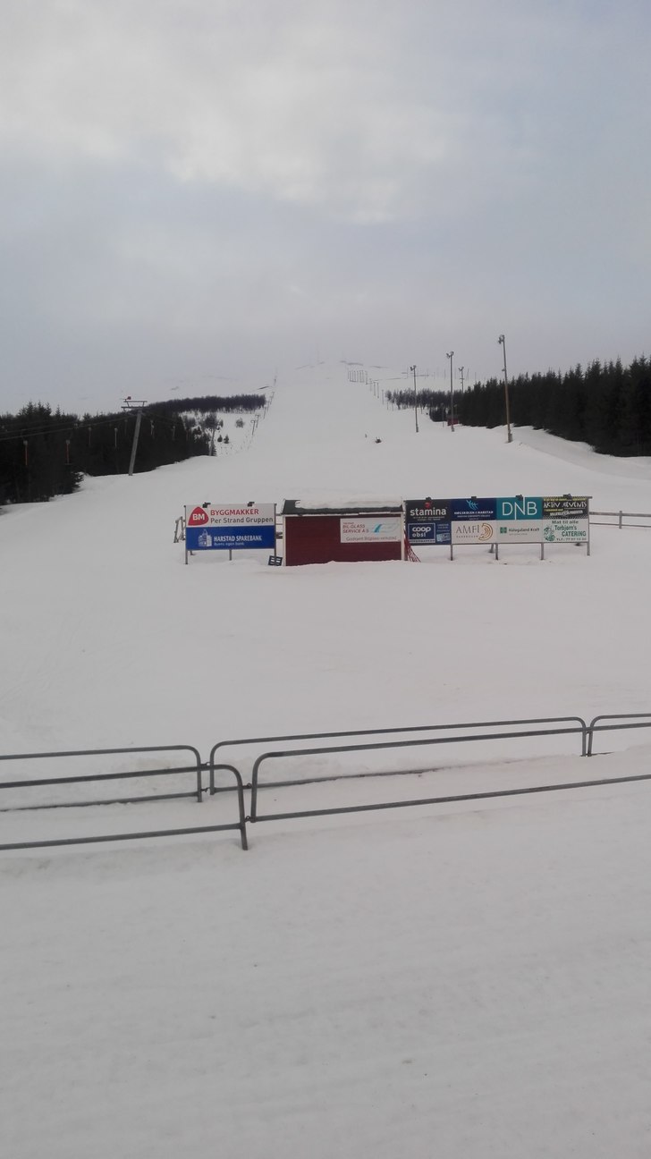 Mildvær er nå dritt.
Hei og velkommen til oss, d.