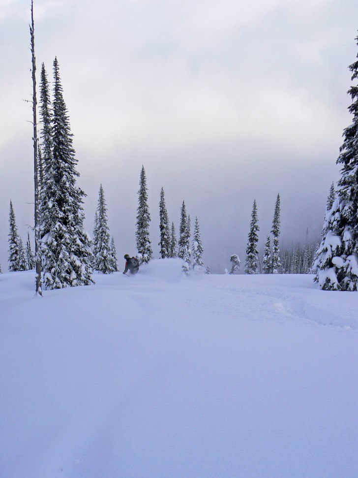 Foto: Stefan Vikberg. Åkare: Patric G Renström.