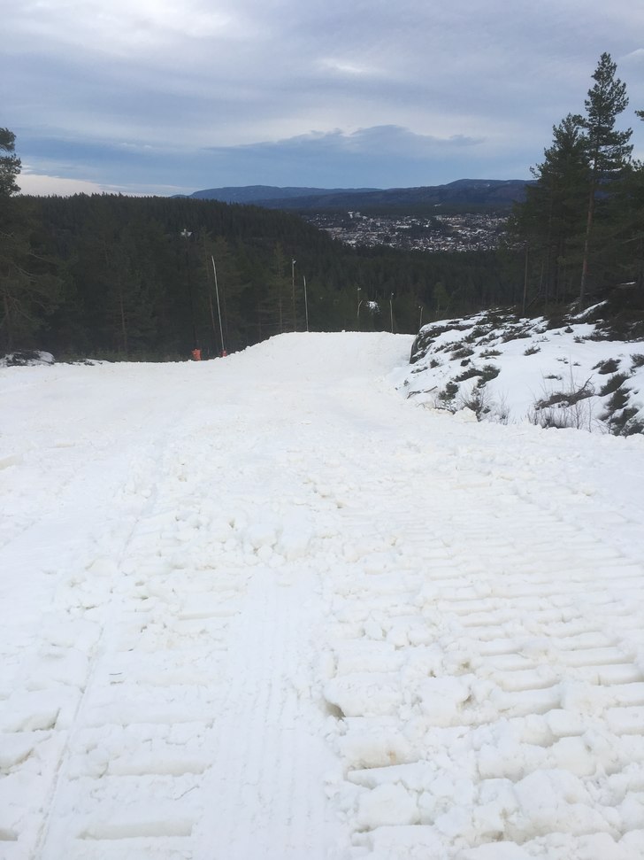Konningen er klar for helgen!
Konningen er klar fo.
