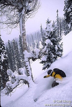 Foto: Carl Skoog. Åkare: Tobias Liljeroth.