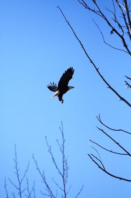 Foto: Sebastian Garhammer och Jon Larsson.