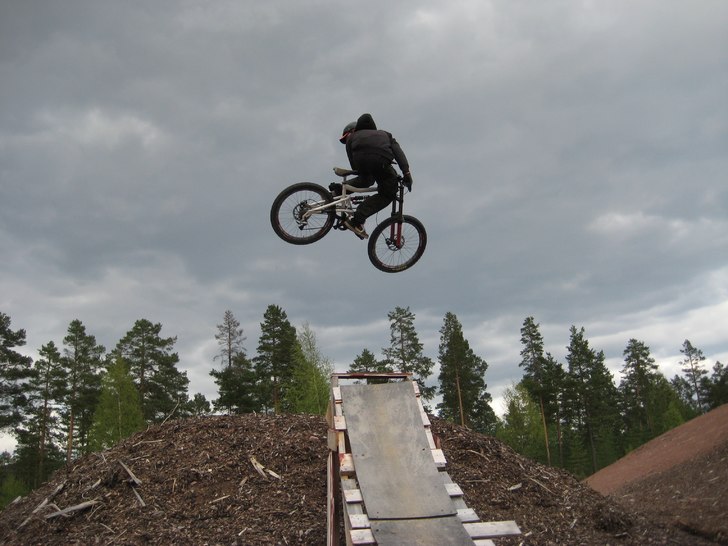 whip. Foto: Johan Larsson. Åkare: Fredrik Larsson (jag).
