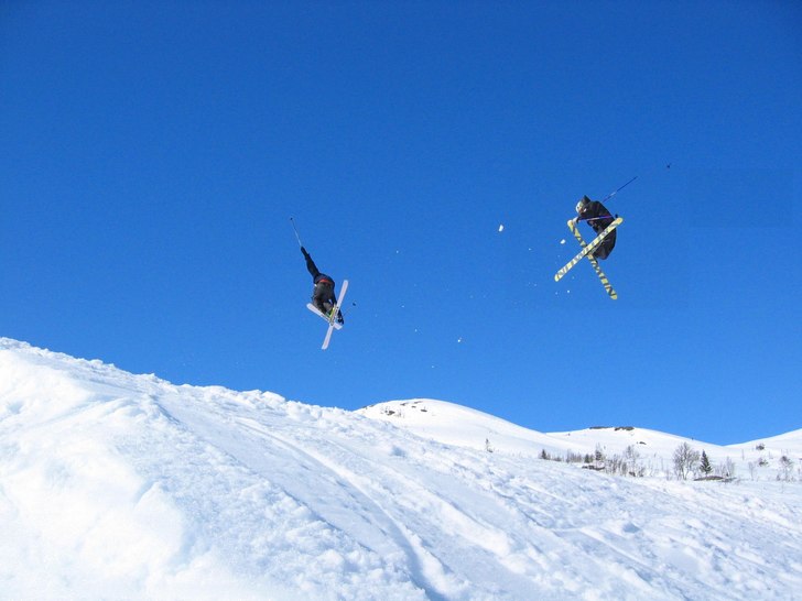 3 nose og 3 tail. Foto: Brunjulf Tveit. Åkare: Åsmund knapstad Hårklau og vinjar slåtten...