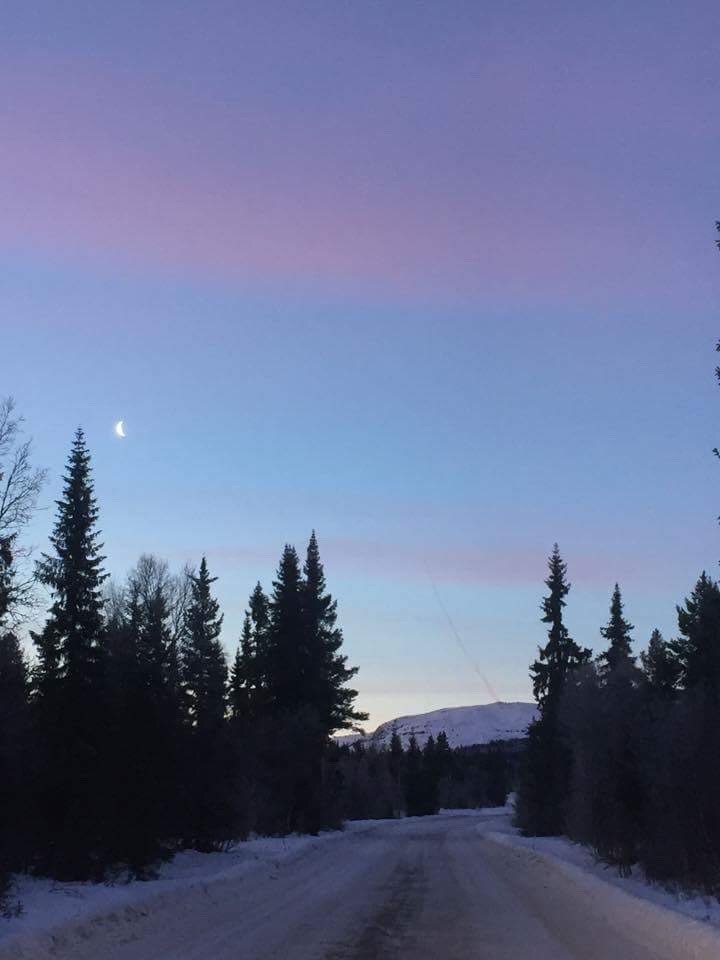 Velkommen til nok en nydelig dag 
.