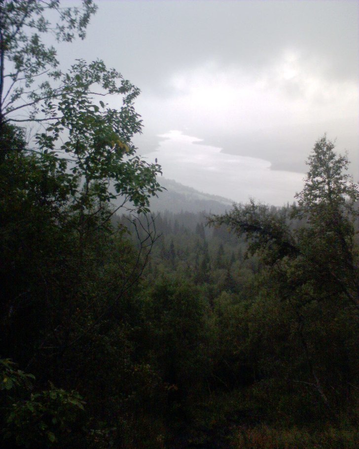 Foto: Kristin Holmberg.