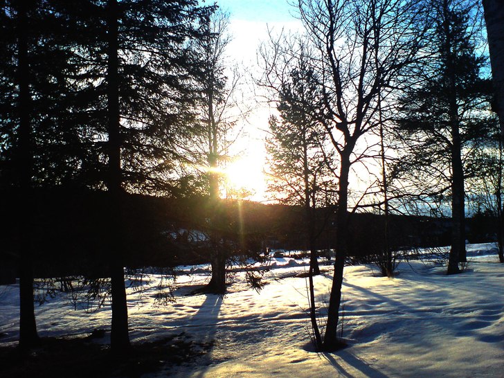 Fick till ett ganska bra kort me mobilen;) . Foto: Johan Lundin. Åkare: Träden.