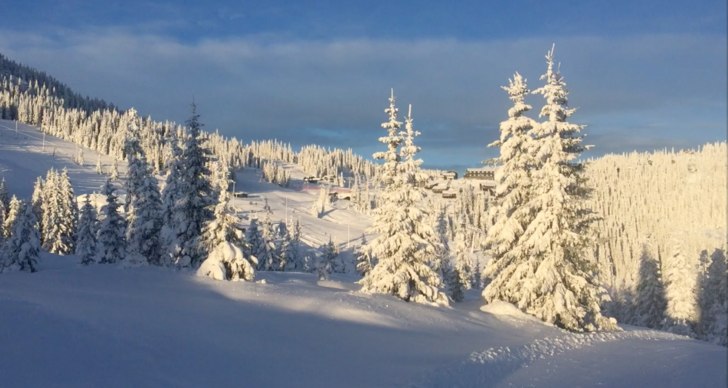 Perfekte forhold i bakken
-7 på toppen, -13 i bun.