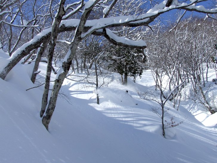 Foto: Kalle Karikoski. Åkare: Ville Eskonen.