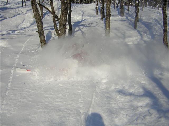 Foto: Marcus Löfvenberg. Åkare: Mattias Löfvenberg.