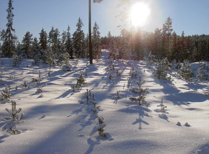 Foto: Markus Danielsson.