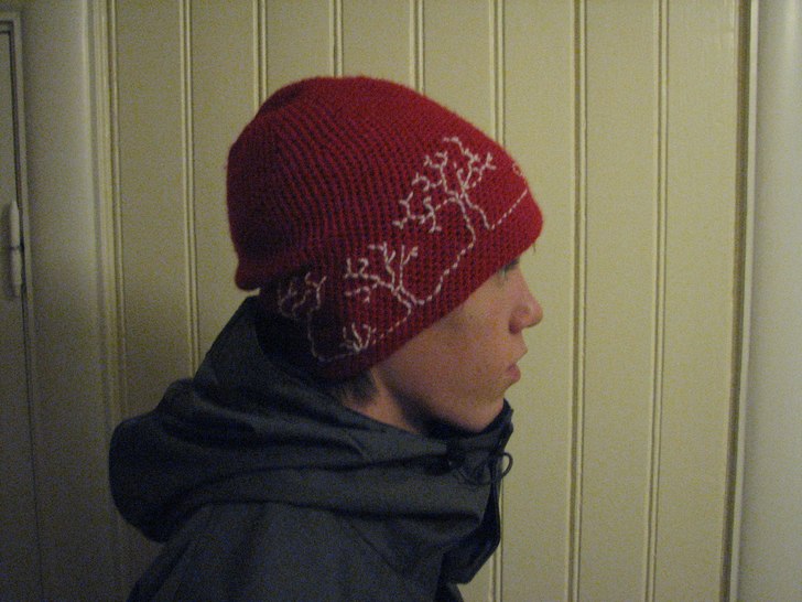 den senaste mössan ja virkad, TRÄD. Foto: Linnea. Åkare: Simon Martinsson.