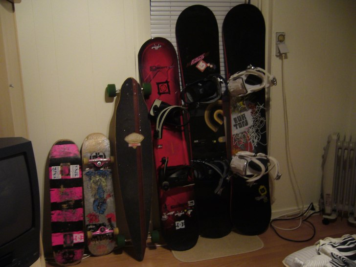 plankorna. Foto: ludwig stenberg.