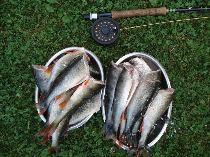Lite fiske är aldrig fel!. Foto: Johannes Eriksson.