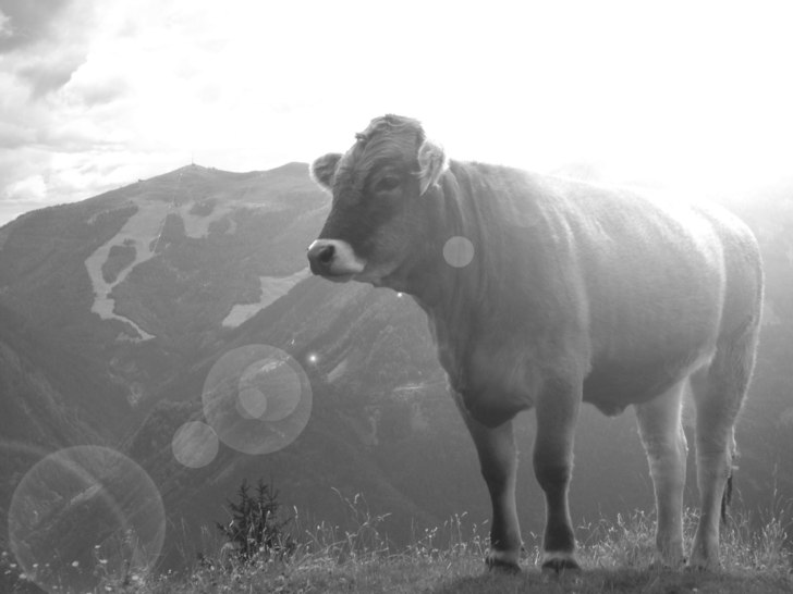 Foto: me. Åkare: she wants to stay anonymous.