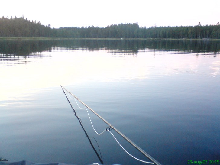 från flytringen
kan inte bli så mkt bättre i v. Foto: frej lindström.