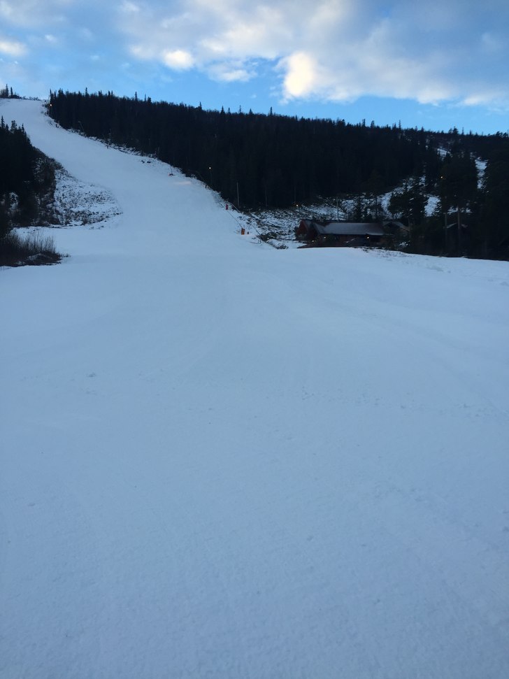 Stolheis 
Da er det klart for stolheis vi har kun .