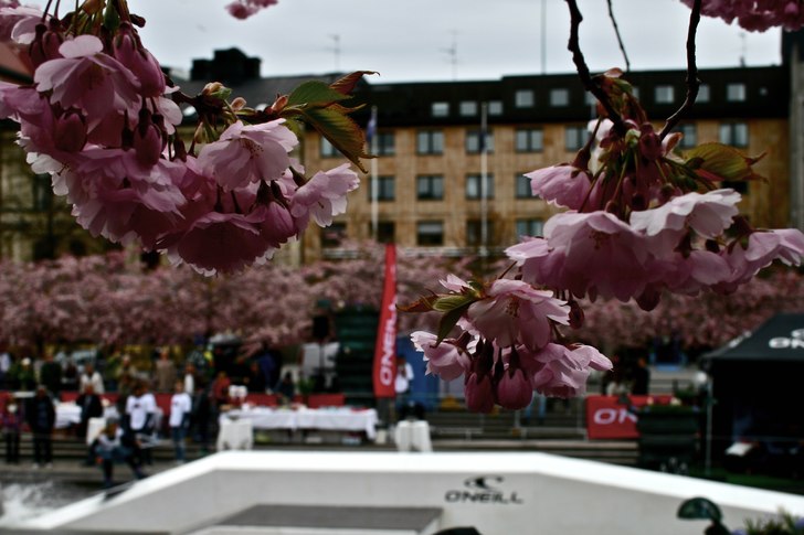 Foto: Felix Grunert.